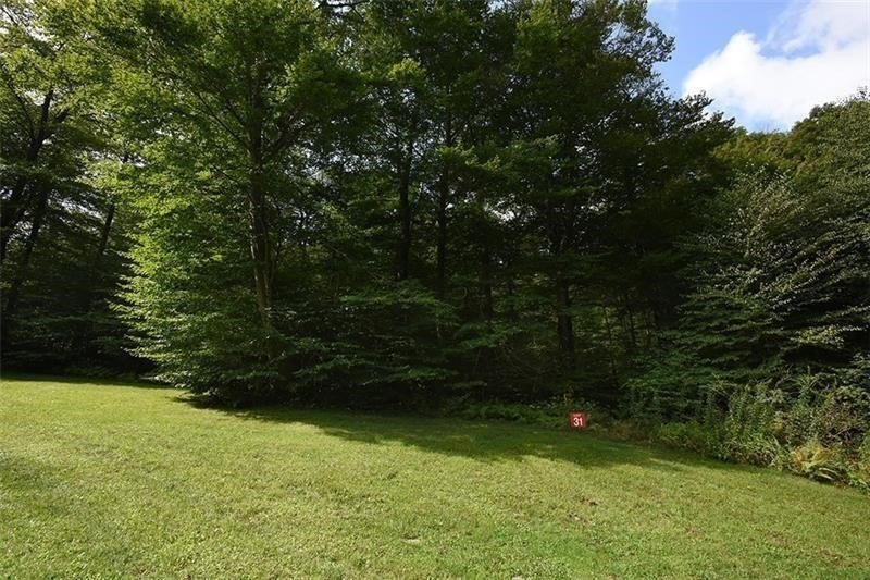 Other - Grouse Point lot: # 31, Champion, PA