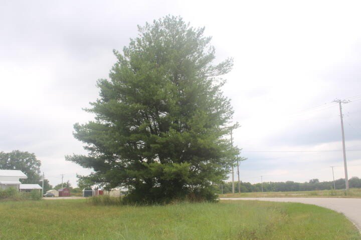 000 Lot 1 Pr Ln  