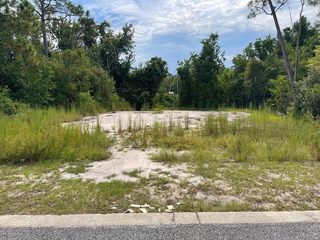 Other - 1620 Sea Breeze Way lot: 41, Carrabelle, FL