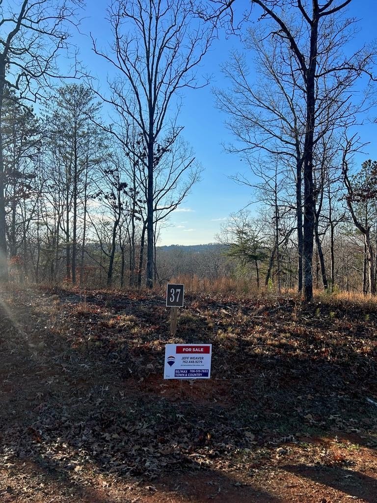 Other - 37 Blalock Mountain Road, Ellijay, GA