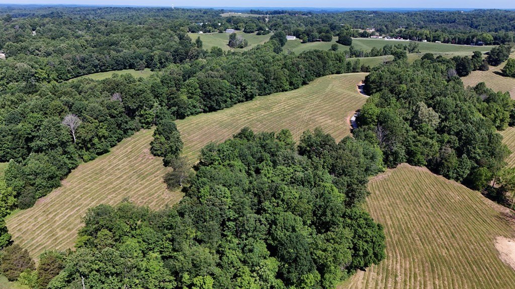 Other - Tract#11 Legacy Trace, BURKESVILLE, KY