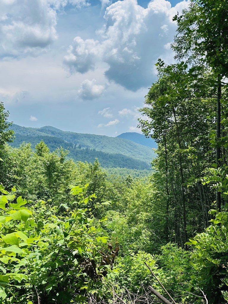 Other - Lot 13 View Ridge Trail, MURPHY, NC