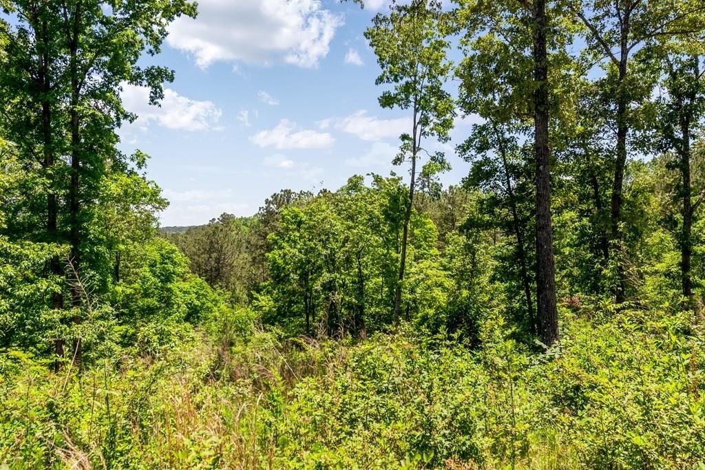 Other - Lt160 Shallow Water Trail, Talking Rock, GA