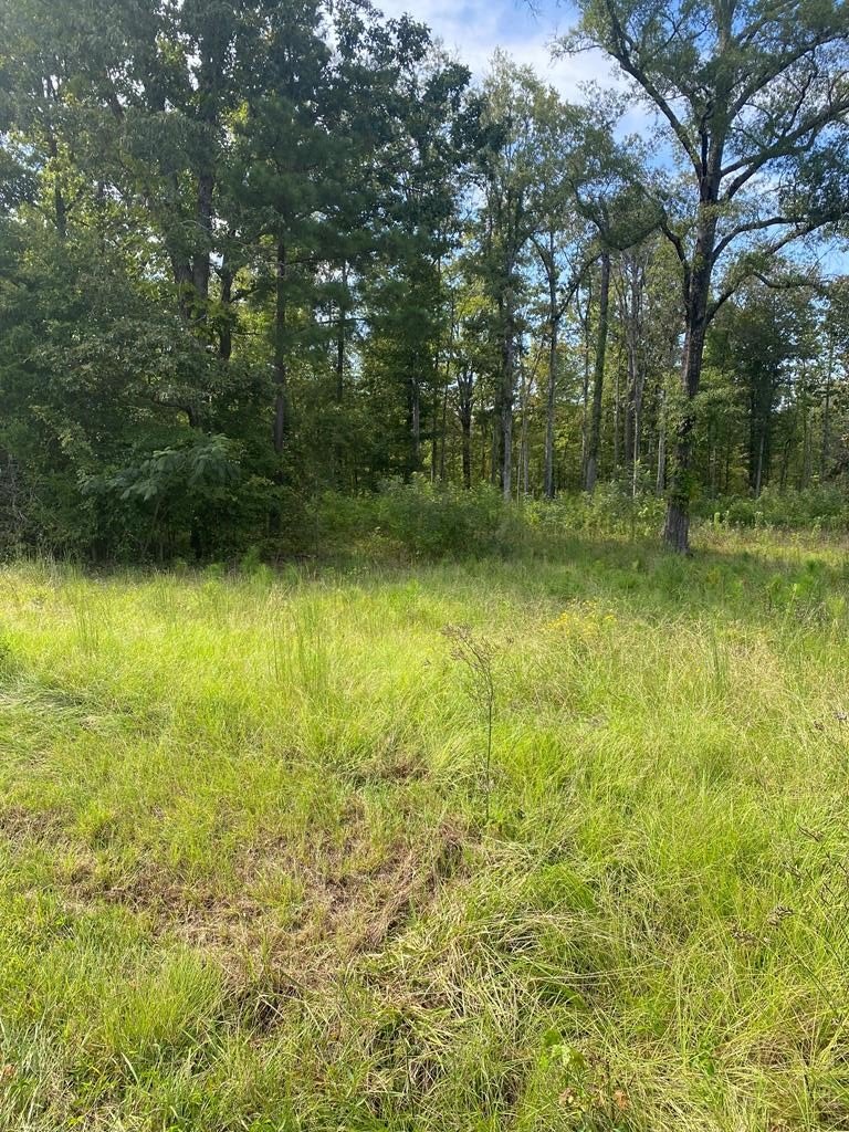 Single Family - 5506 Hwy 72, Calhoun Falls, SC