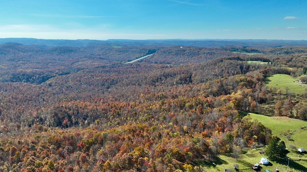 Other - 195 EAGLE'S NEST RIDGE, BRAGG, WV