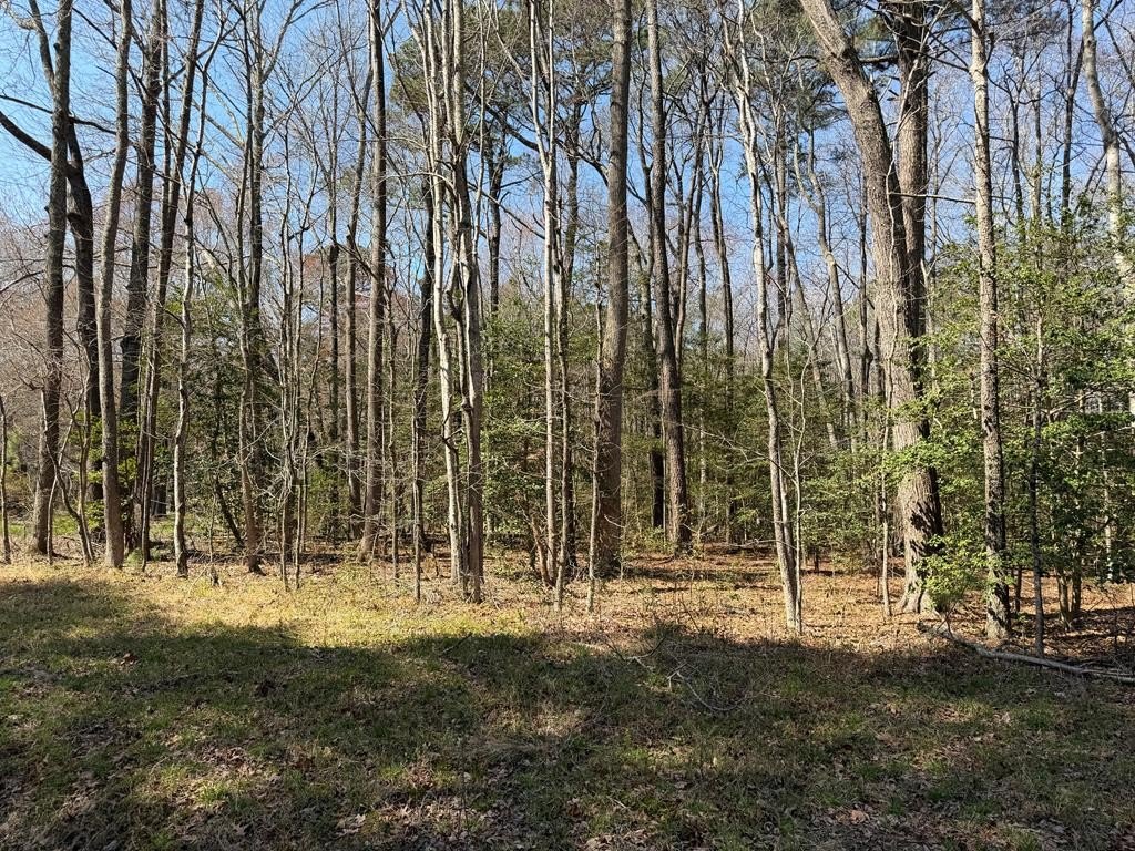 Single Family - 000 Apple Grove Road, Kilmarnock, VA