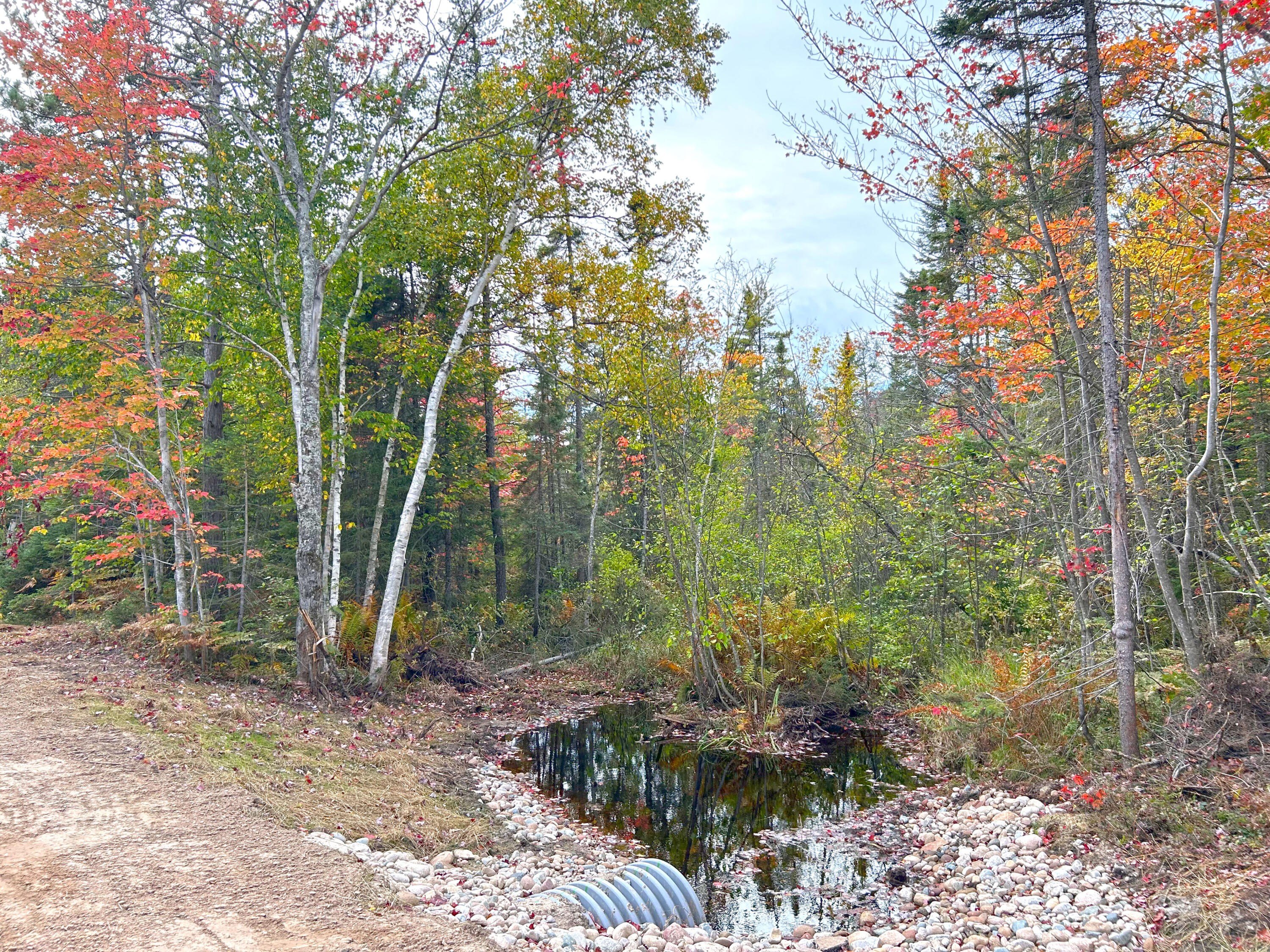 Other - 14659 N Whitefish Point RD, Paradise, MI