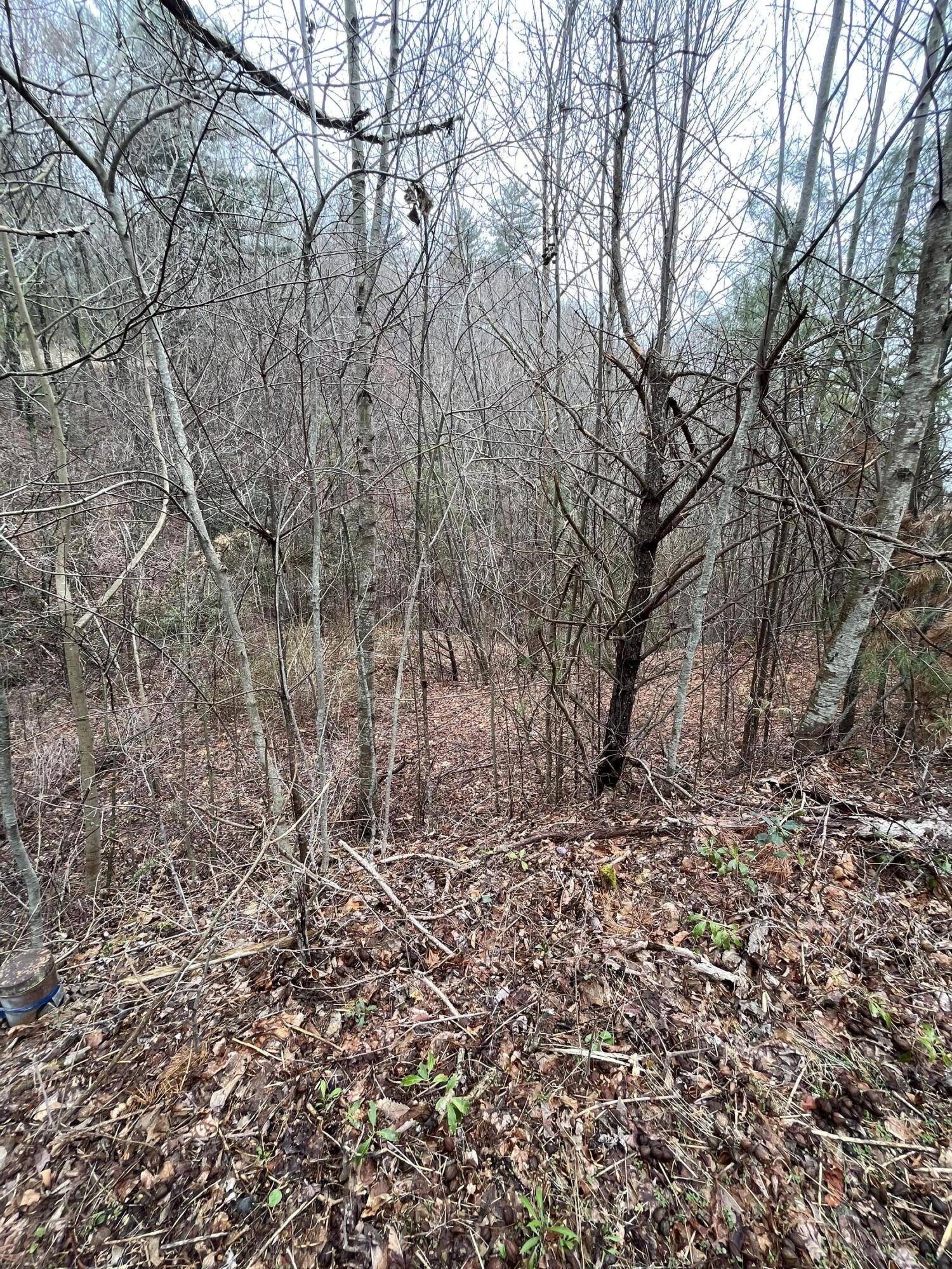 Other - Locust Gap Road, Mountain City, TN