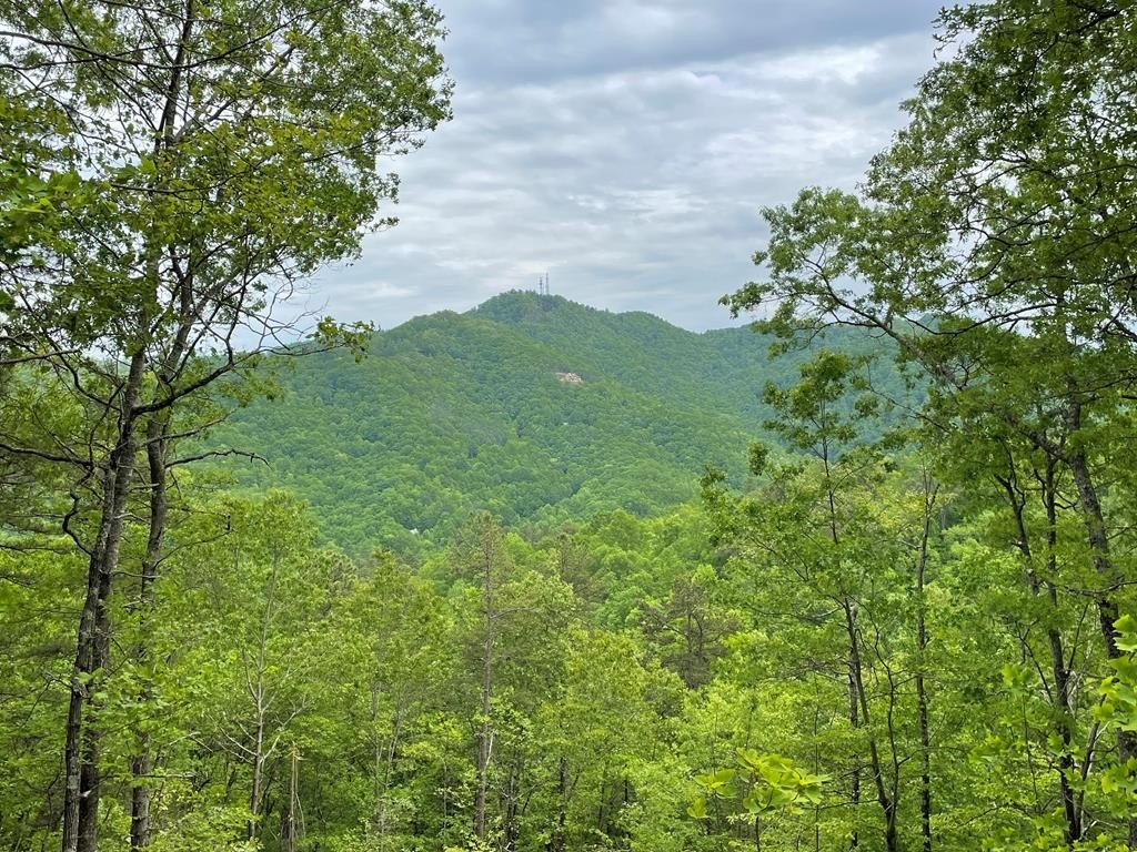 Other - Butternut Ridge lot: 9, Bryson City, NC