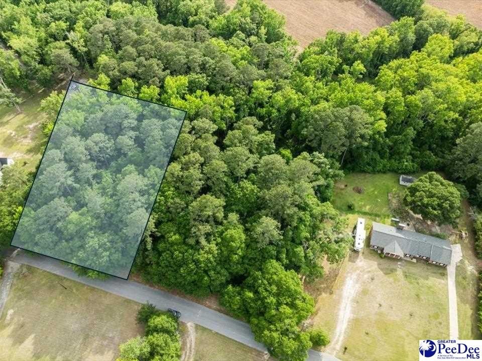 Other - Hickory Grove lot: #2, Florence, SC