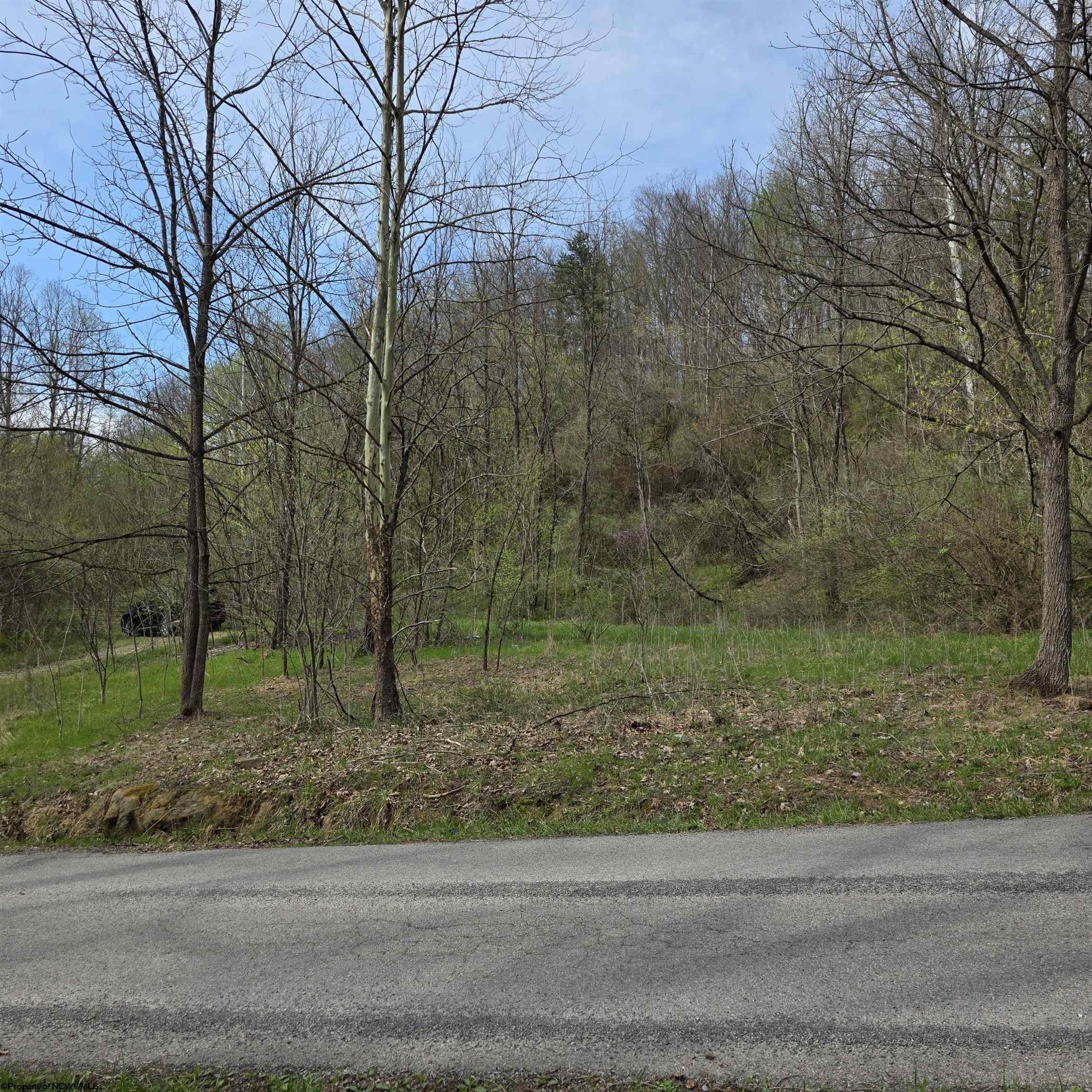 Other - TBD Crooked Fork Road, Walkersville, WV