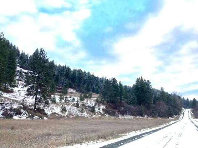 Other - 35XX ROCKCUT RD, KETTLE FALLS, WA