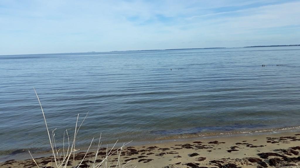 Other - L787 SEAVIEW ST, GREENBACKVILLE, VA