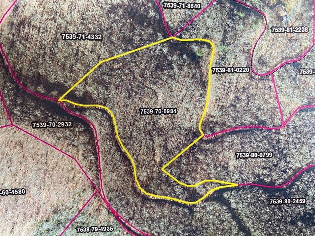 Other - Mountain Forest Estates lot: 70, Sylva, NC