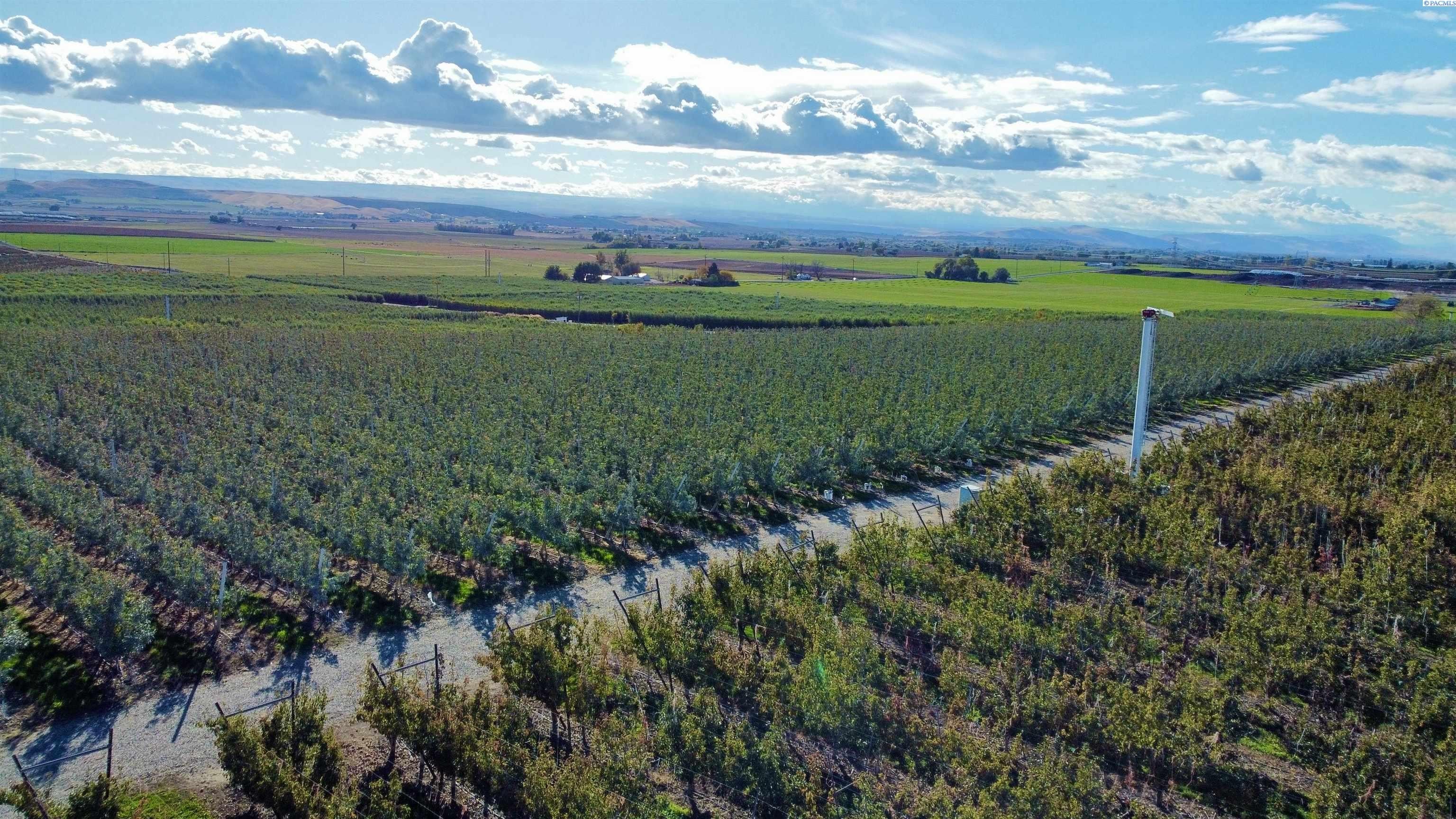 Plots and Land - 1870 Phipps Rd., Sunnyside, WA