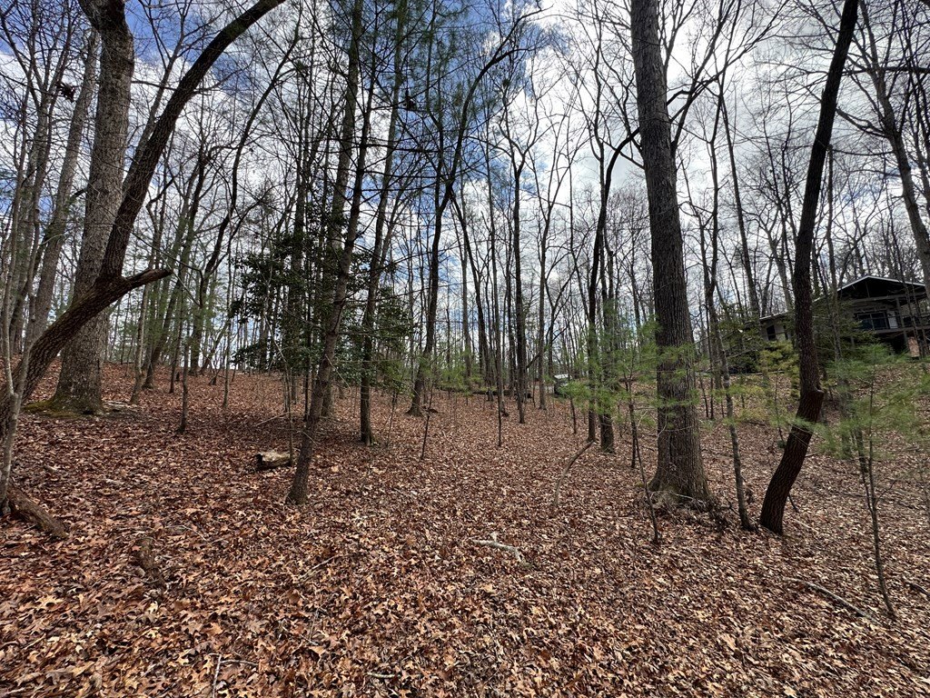 Other - Lot 20 Black Oak Road, Cherry Log, GA