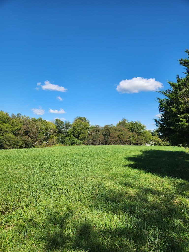 Other 2BR 4BA - 542 Ampthill Road, Cartersville, VA