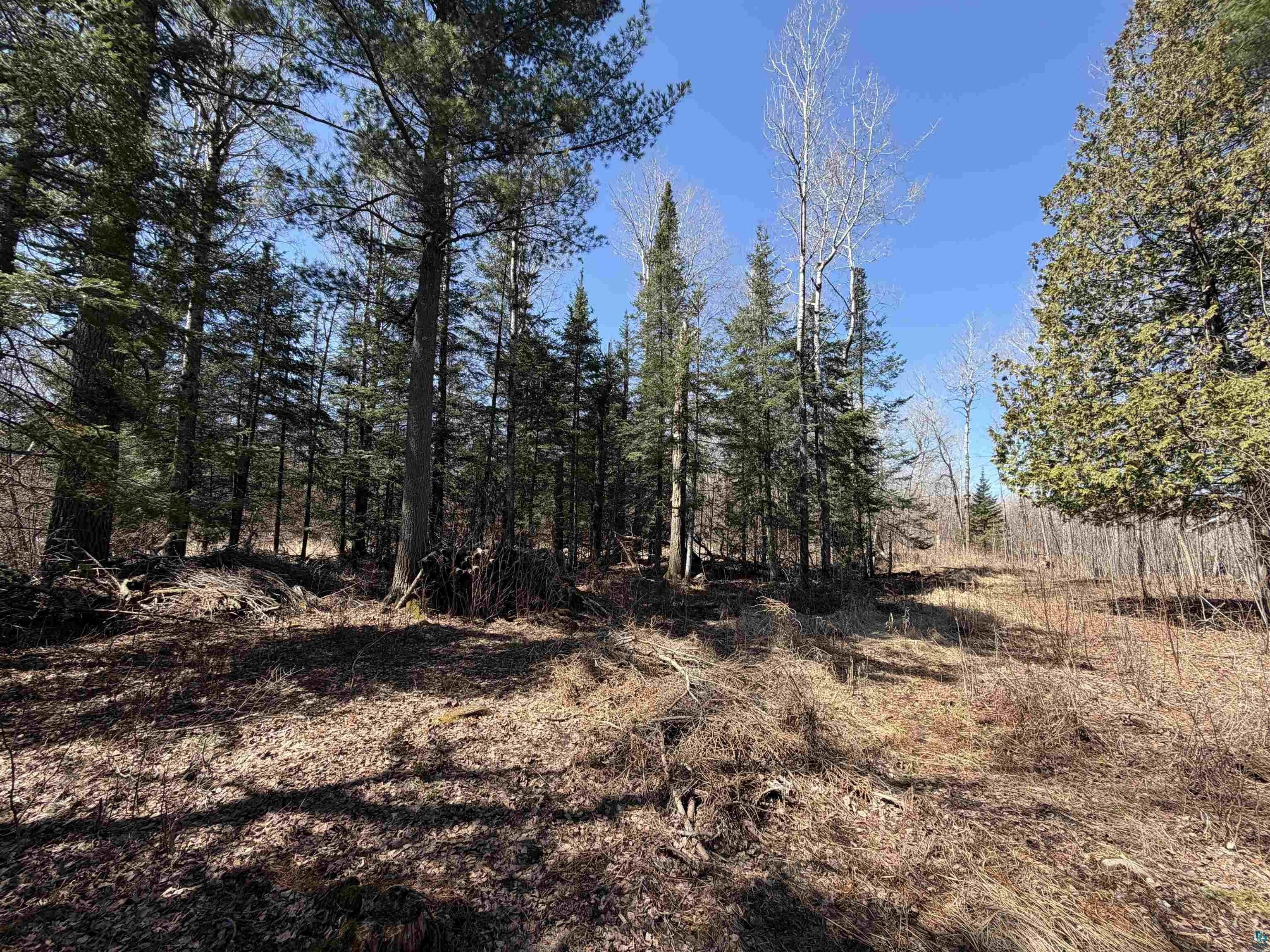 Single Family - 115 Marks Rd, Esko, MN