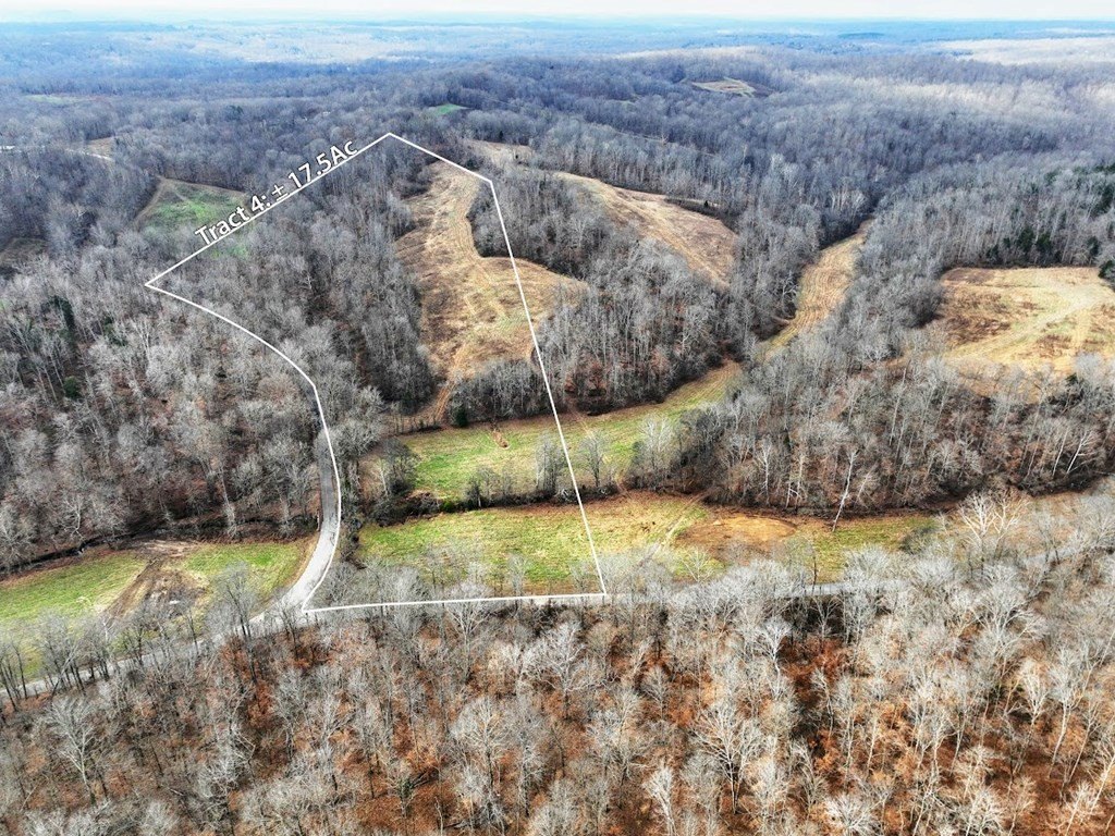 Single Family - Tract #4 Kirkland Rd, INDIAN MOUND, TN
