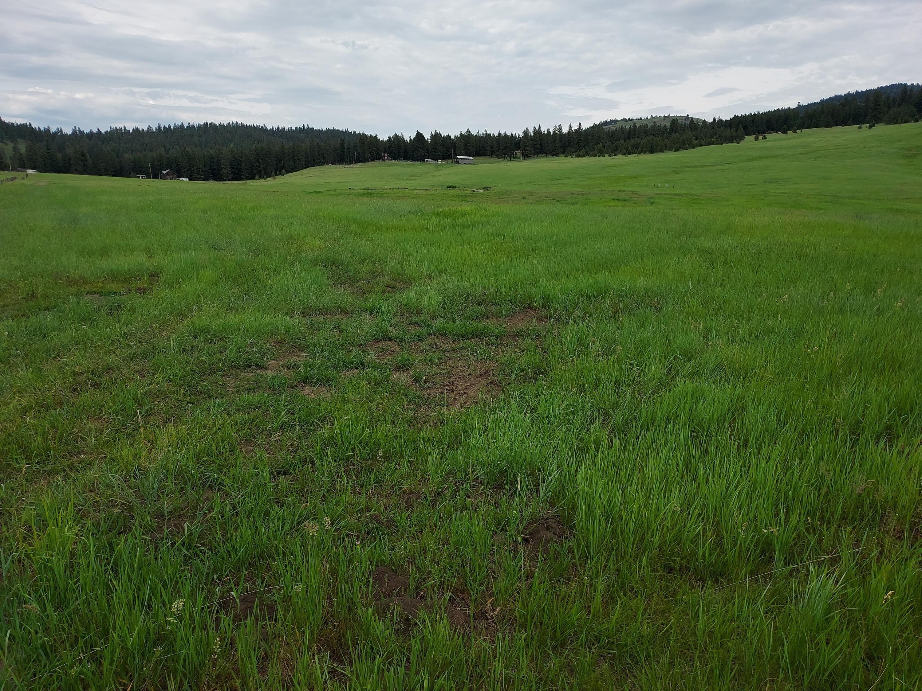 Other - 37 OLD RANCH HOUSE ROAD  (LOT 1 ), REPUBLIC, WA