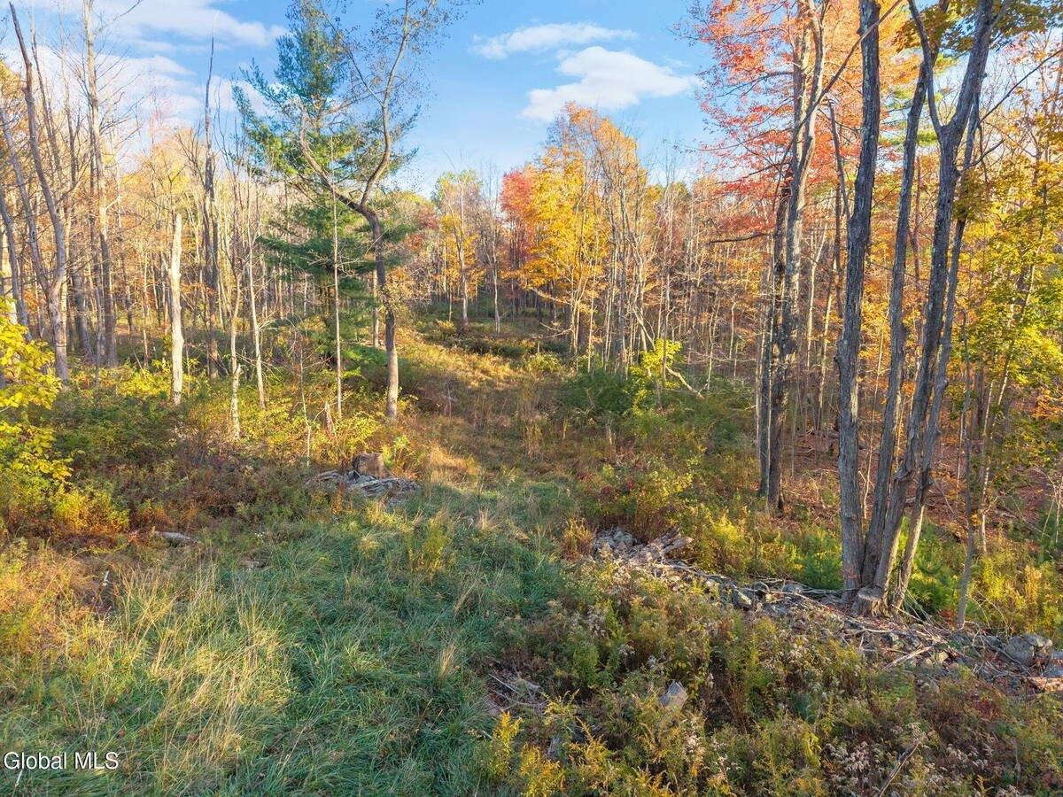 Other - 138 Old Road, Grafton, NY