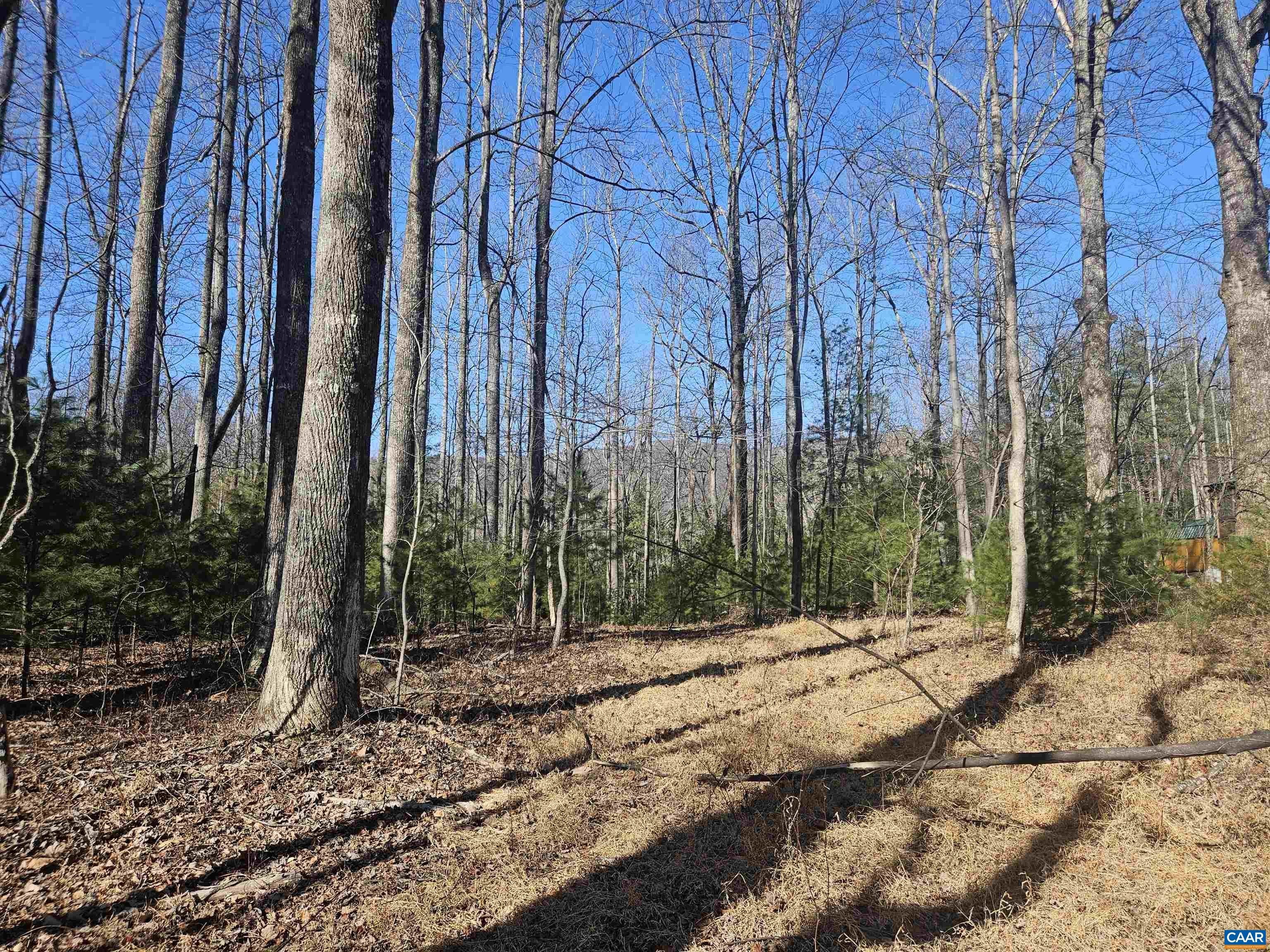 Other - TBD Lot 56G TURKEY RIDGE RD, STANARDSVILLE, VA