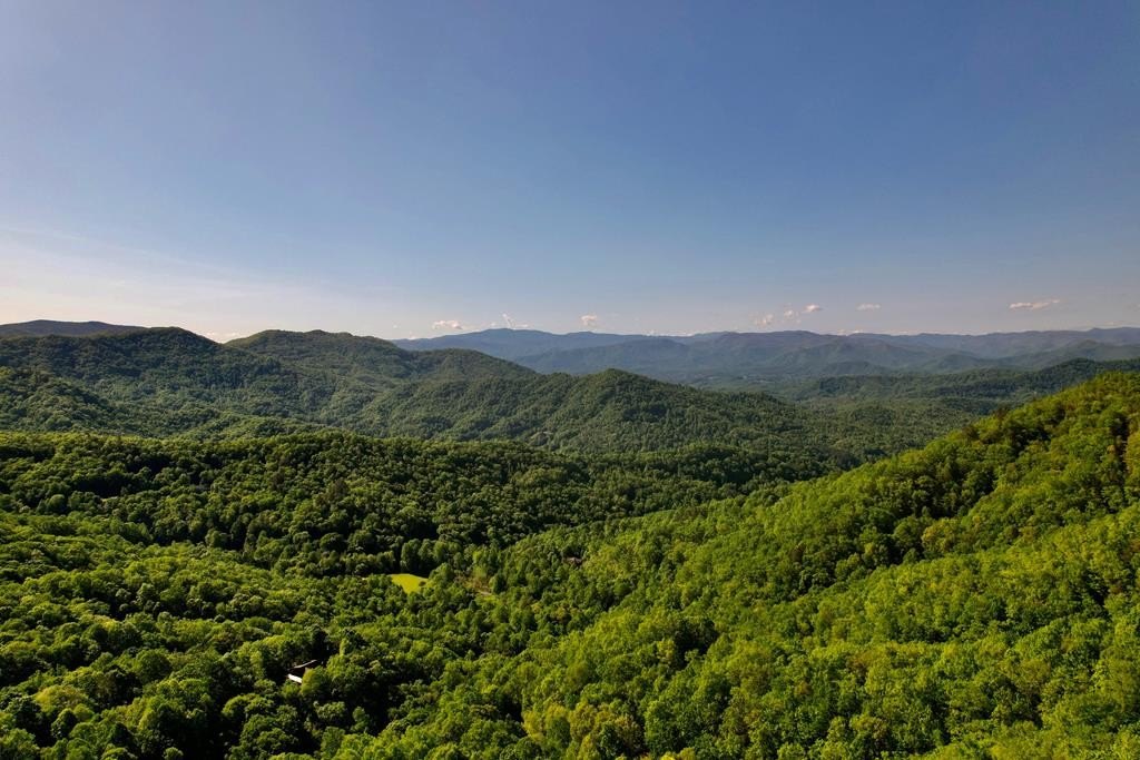 Other - Lot 7 Forest Run Rd, Whittier, NC