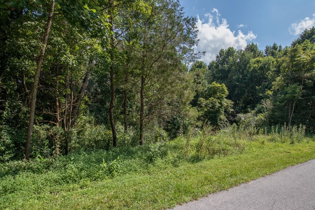 Other - Preston Place Drive lot: 46, Abingdon, VA