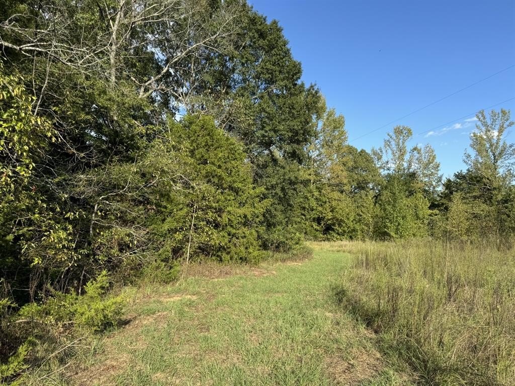 Other - CR 2362, Bagwell, TX