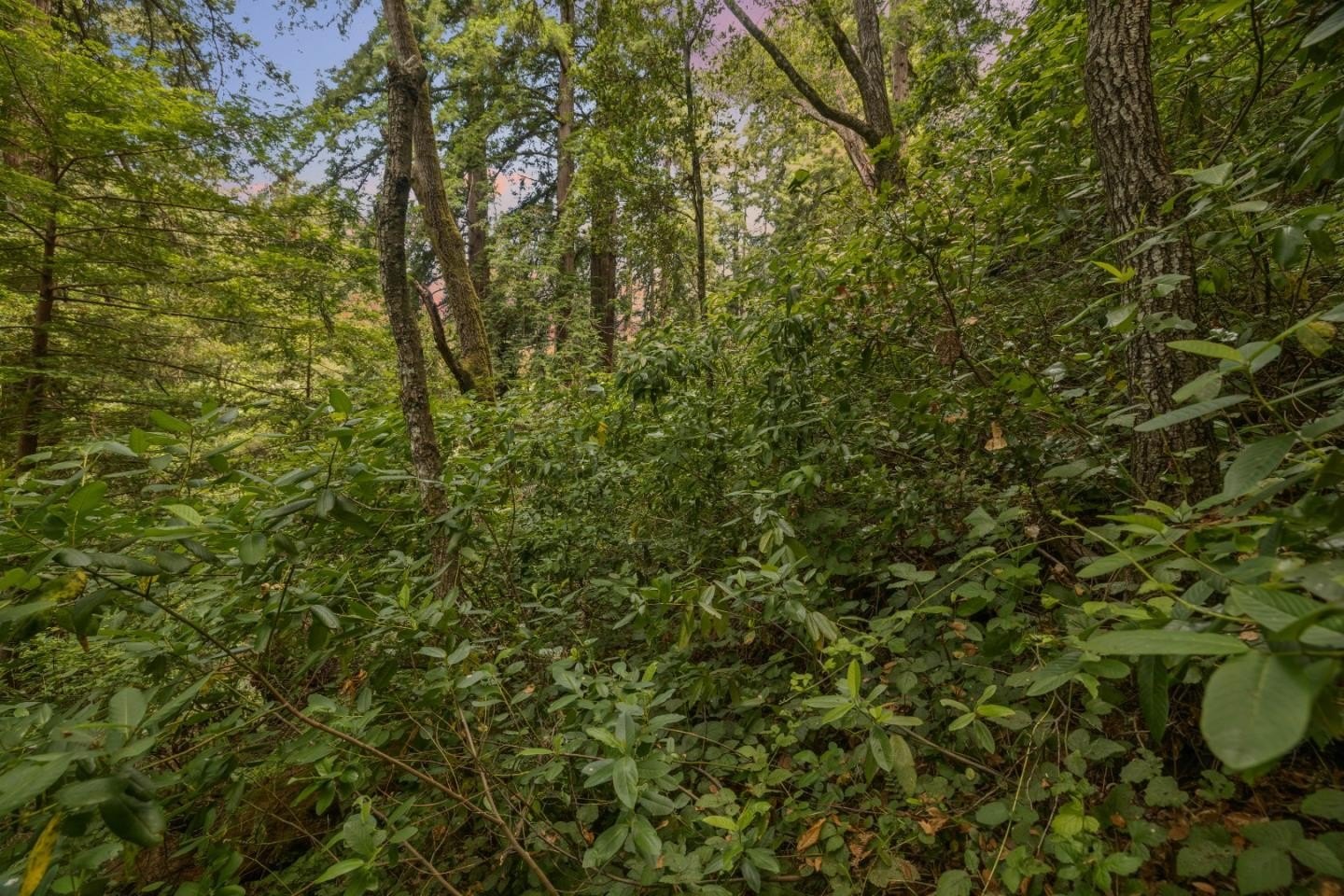 Other - Lot 02 Cathedral DR, APTOS, CA