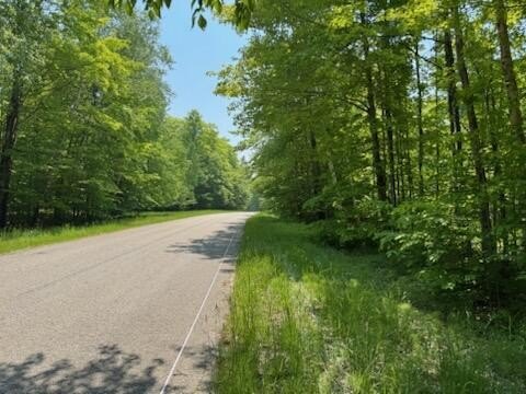 Other - Co. Rd 98, McMillan, MI