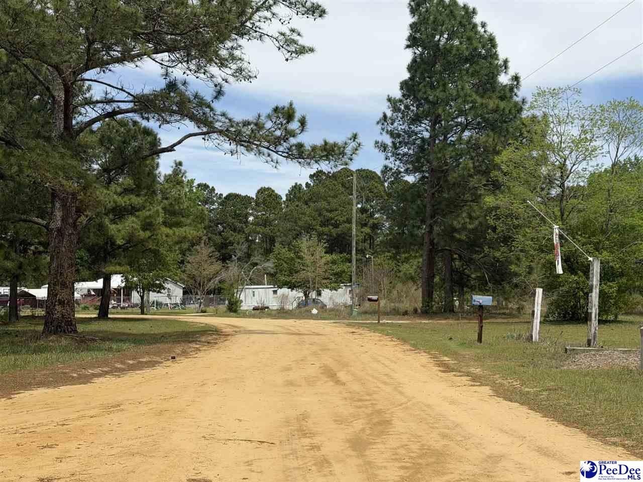 Manufactured Housing - TBD Twilight Drive, Dillon, SC