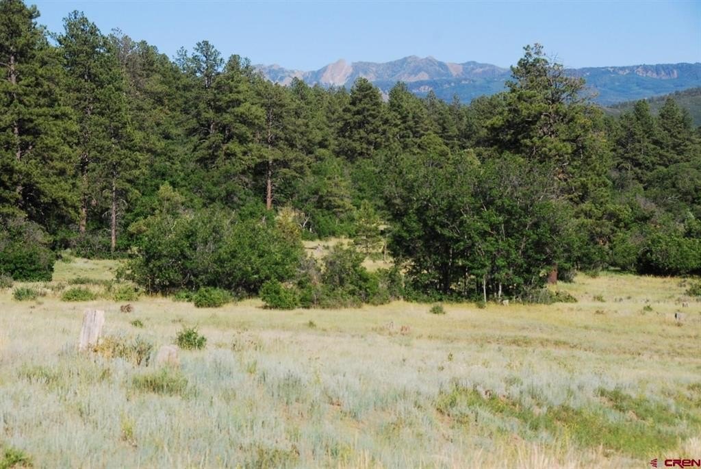 Single Family - X US Hwy 84 #047, Pagosa Springs, CO