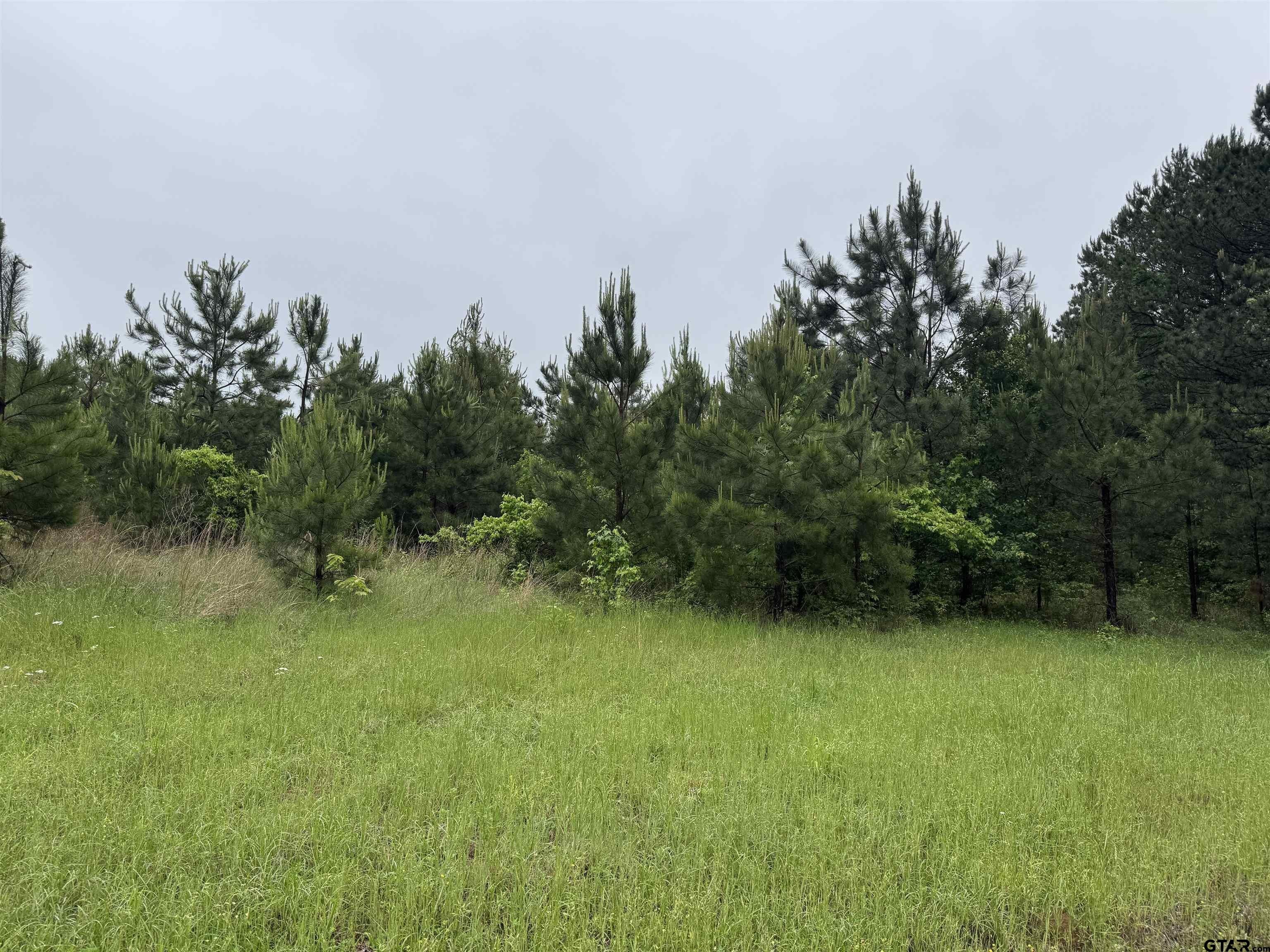 Other - 3369 CR 2472, Naples, TX