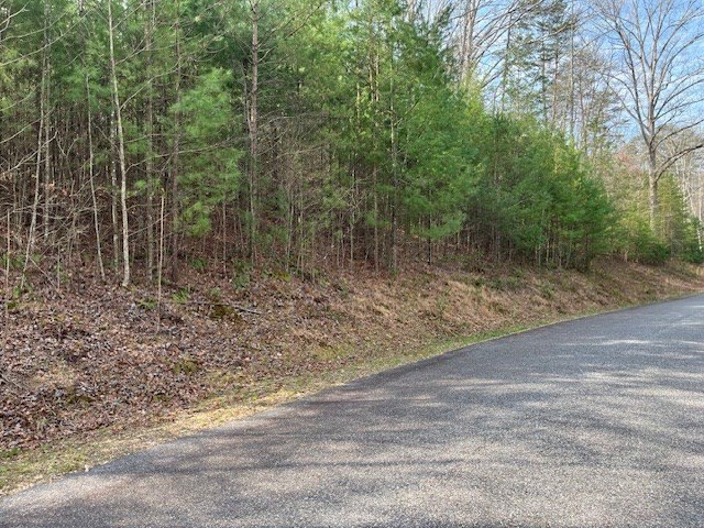 Other - Lot 10 Lower Fox Trail Road, Blairsville, GA