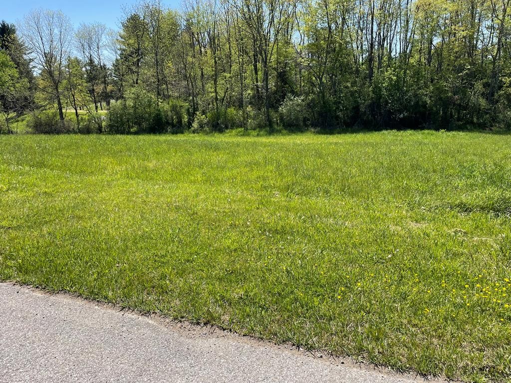 Other - Caroline Circle lot: 14, Wytheville, VA