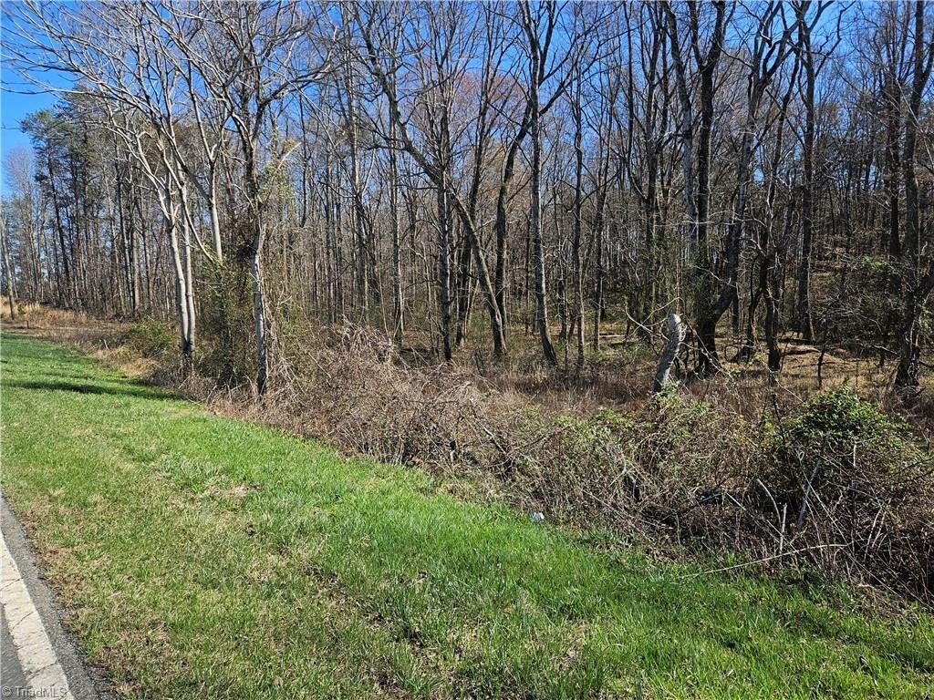 Plots and Land - 00 Willas Gap Road, Ararat, VA