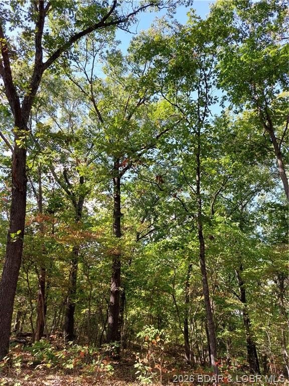 Other - 30915 Broken Circle Road, Stover, MO
