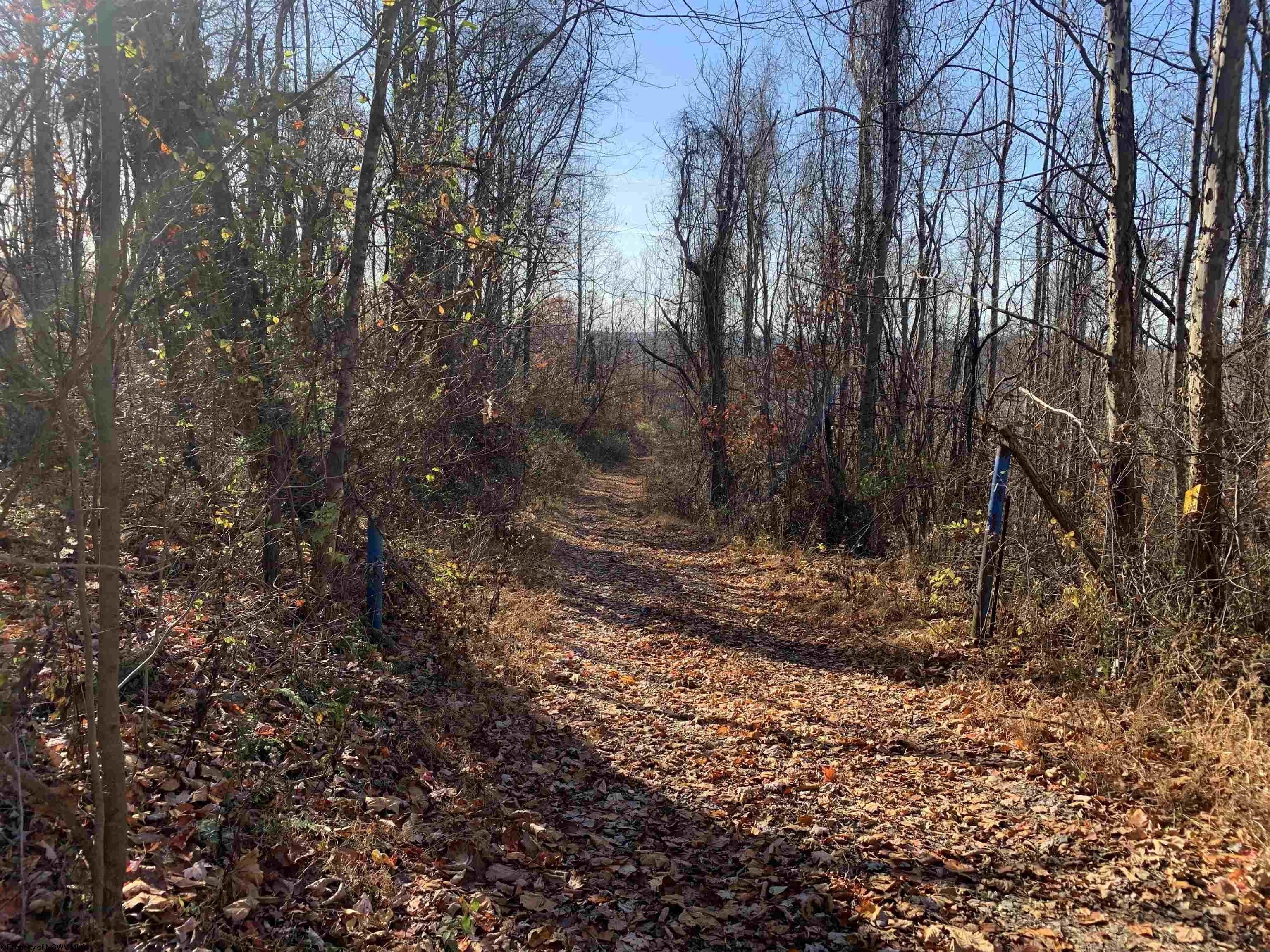 Other - TBD Narrows Road, Philippi, WV