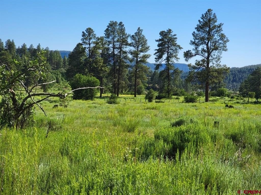 Single Family - X Catchpole Drive, Pagosa Springs, CO
