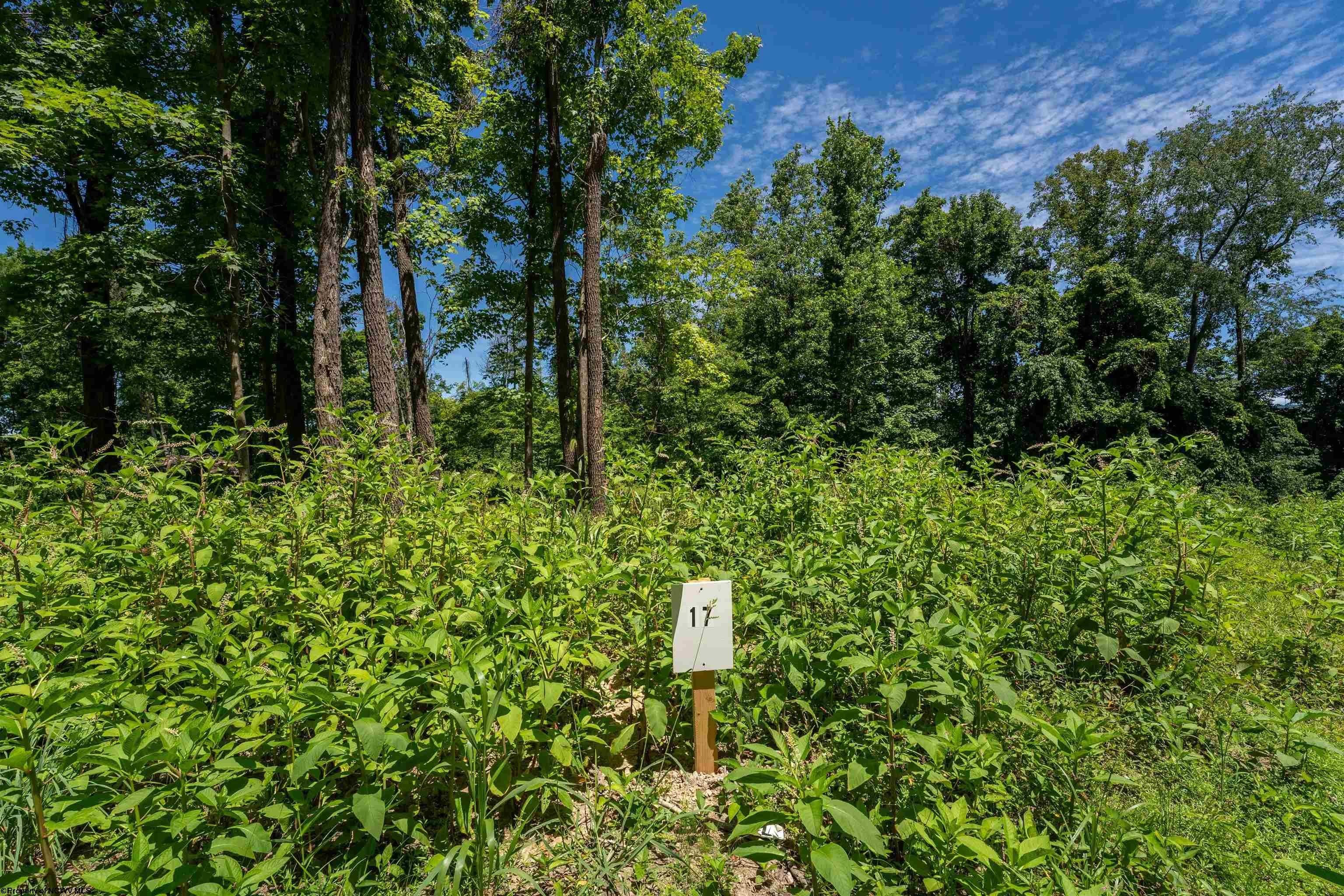 Other - Bowers Lane lot: 17, Morgantown, WV