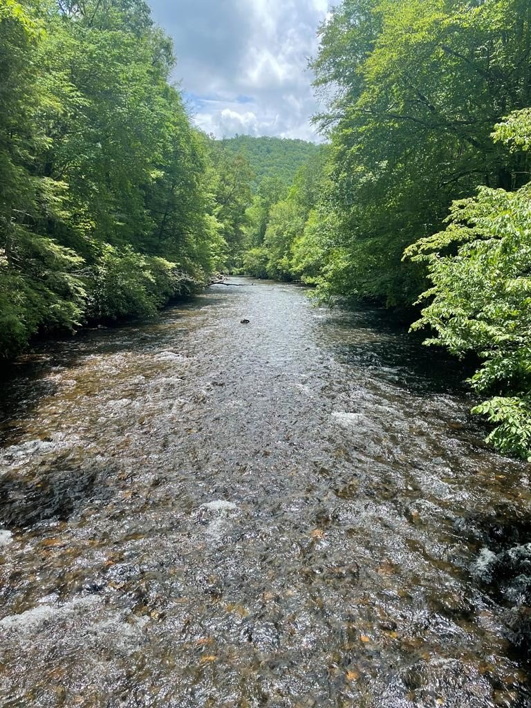 Other - 4 Tate Cove, HAYESVILLE, NC