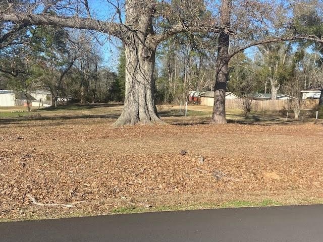 Other - 1003 Fairview Dr, Waynesboro, MS