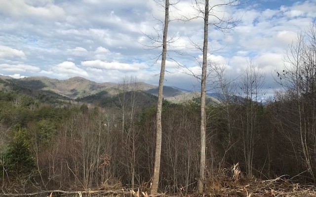 Other - B Sweetwater Bend Drive, Hayesville, NC