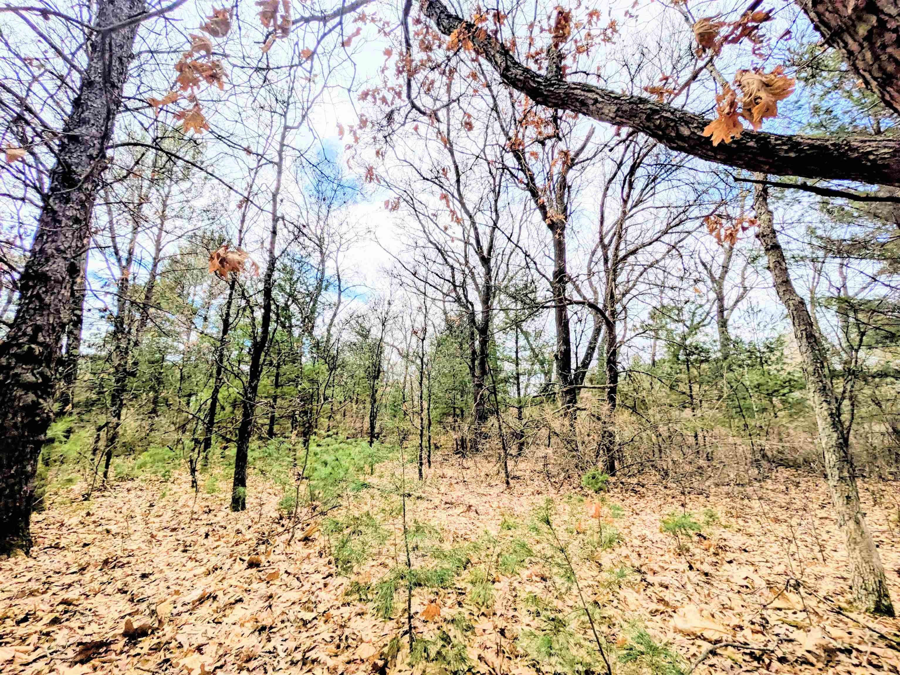 Other - Fawn Drive, Grand Marsh, WI
