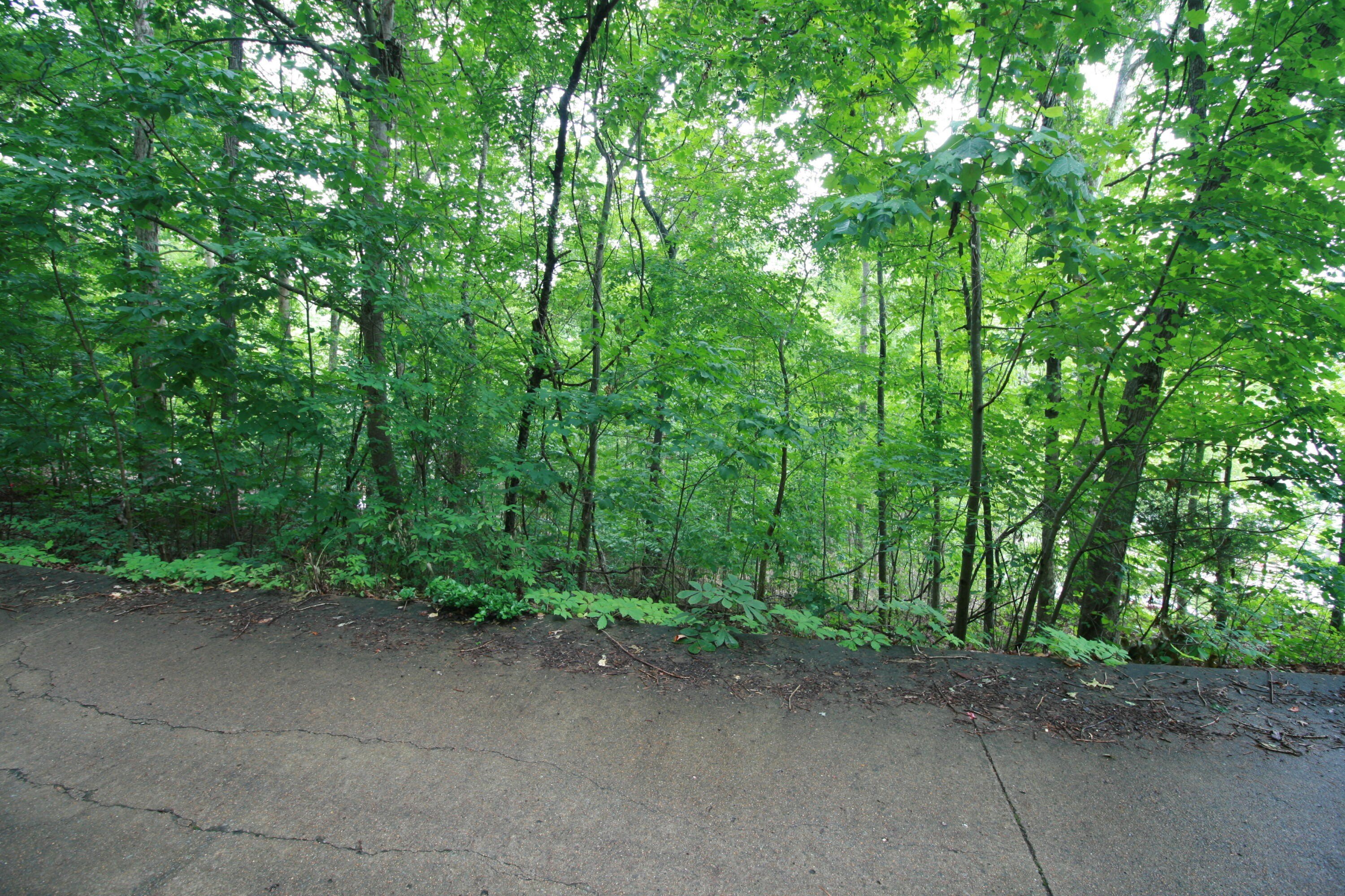 Other - 6625 Cape Haven Drive, Harrison, TN