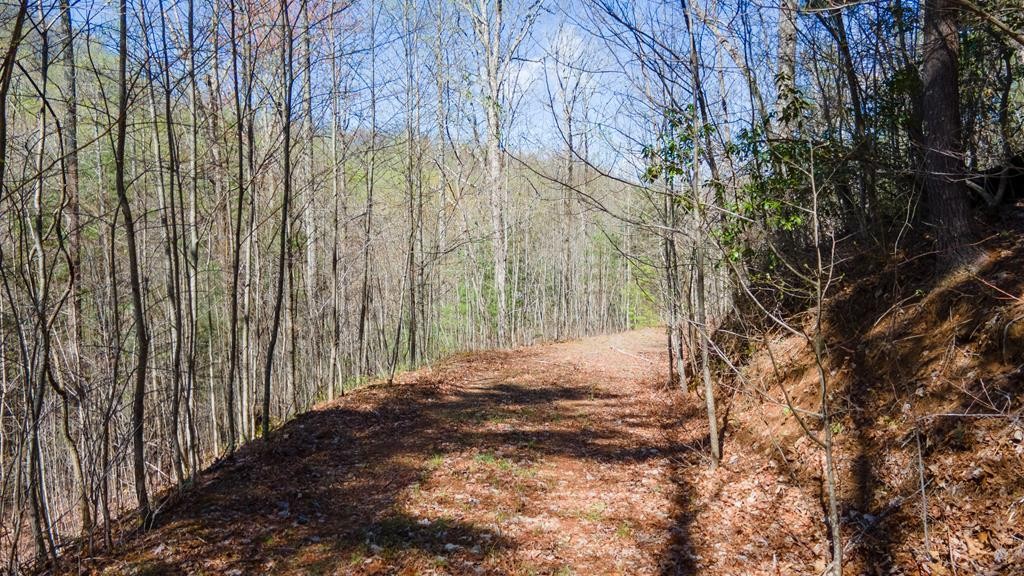 Other - Highlands Pass lot: 9, Franklin, NC