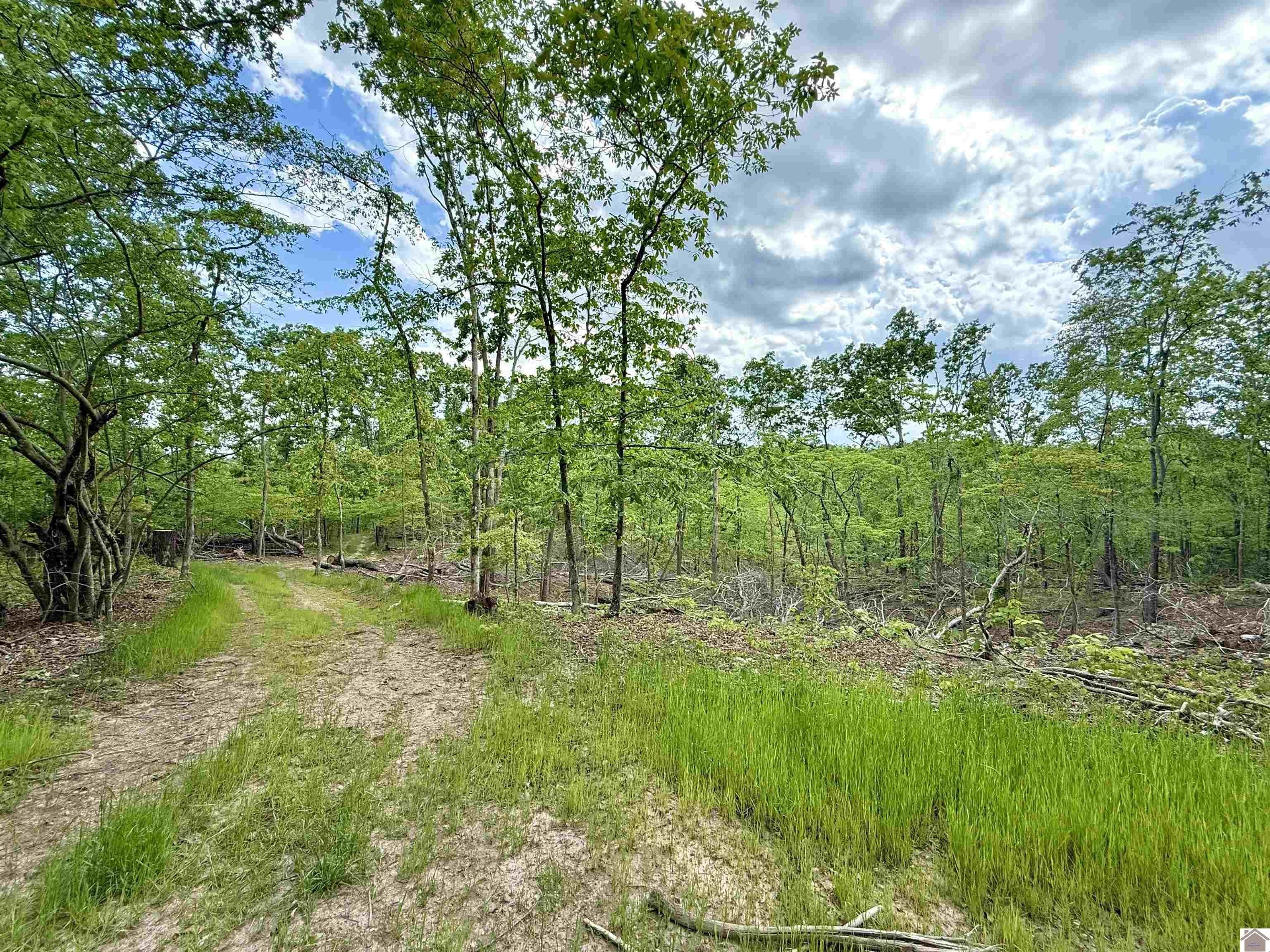 Other - 2800 Rowlett Trail, Murray, KY