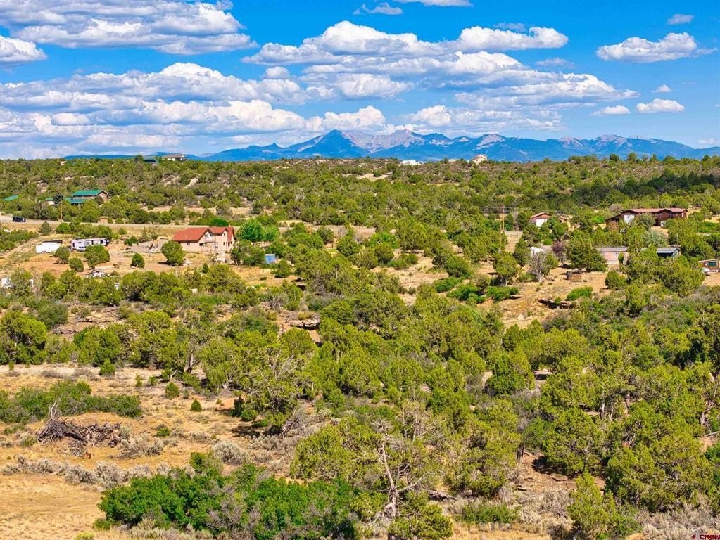 Single Family - 27980 Road T, Dolores, CO