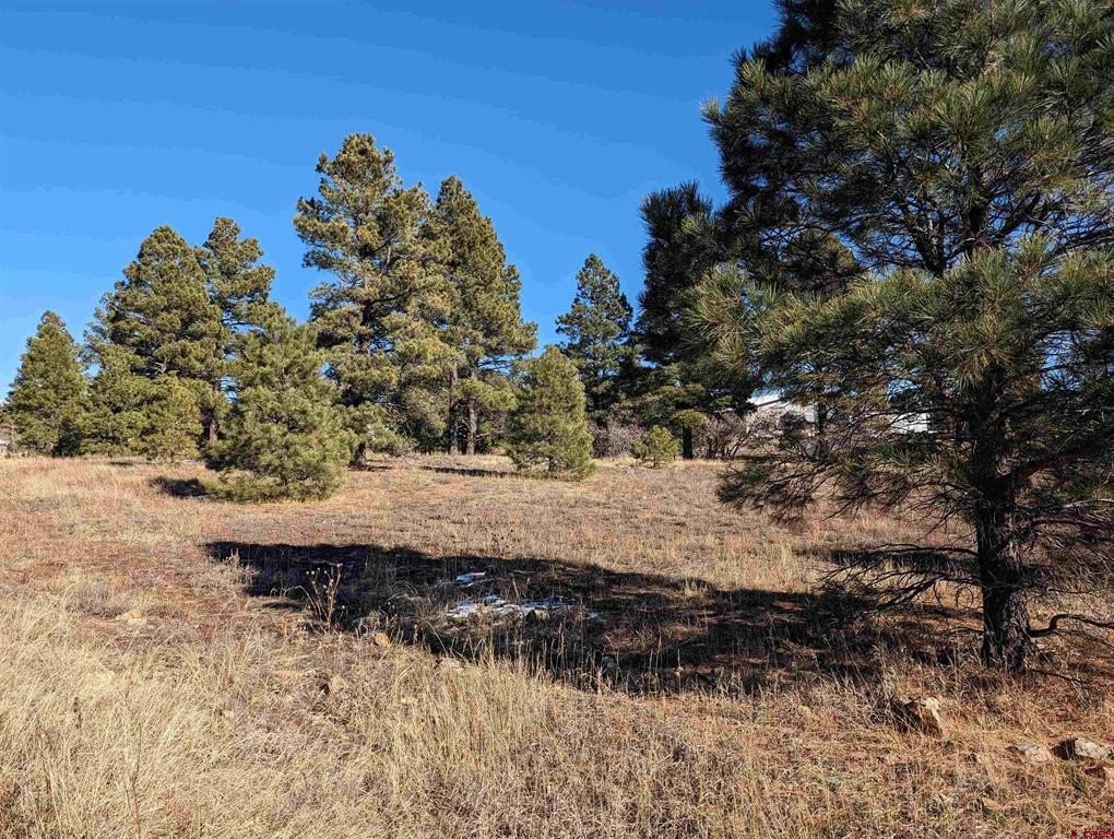 Single Family - 129 Park Avenue, Pagosa Springs, CO